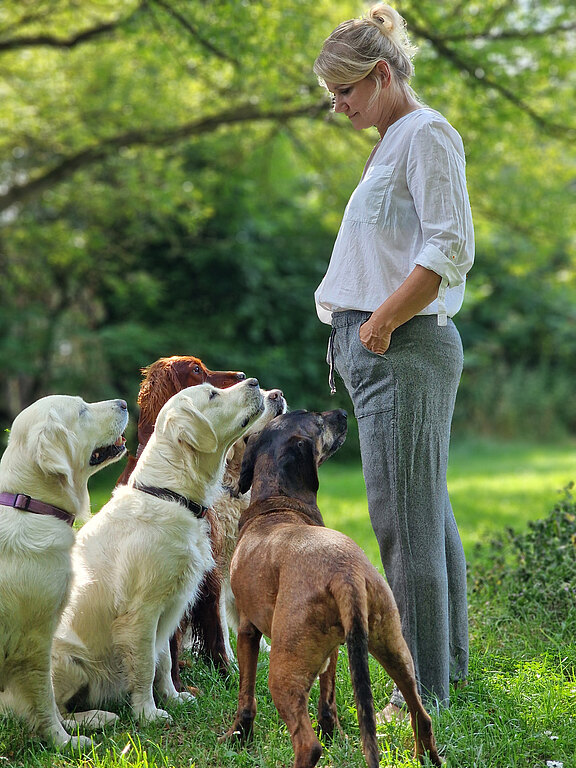 Plan L – Vertrauensvolle Lösung für schwierige Hunde ohne herkömmliches Hundetraining