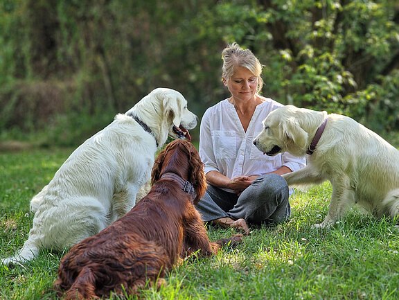 Daniela Ferchel – Expertin für individuelles Hundecoaching ohne klassisches Hundetraining